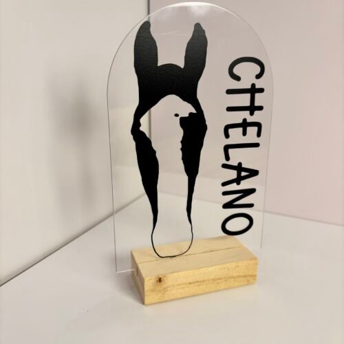 Personalisiertes Pferdeportrait aus Acryl – Pferde Silhouette mit Name