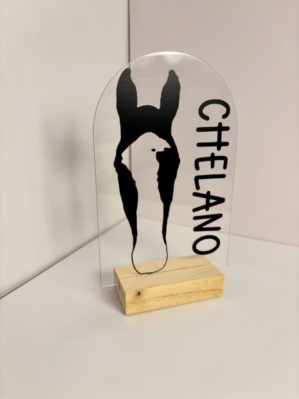 Personalisiertes Pferdeportrait aus Acryl – Pferde Silhouette mit Name