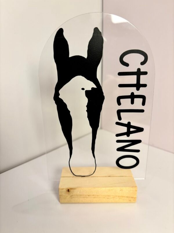 Personalisiertes Pferdeportrait aus Acryl – Pferde Silhouette mit Name