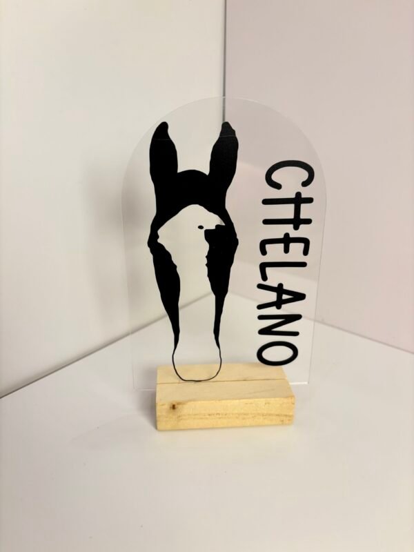 Personalisiertes Pferdeportrait aus Acryl – Pferde Silhouette mit Name