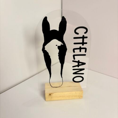 Personalisiertes Pferdeportrait aus Acryl – Pferde Silhouette mit Name