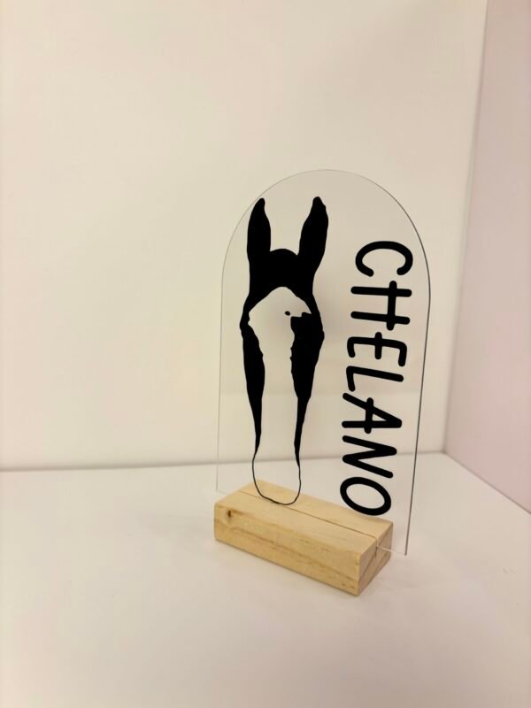 Personalisiertes Pferdeportrait aus Acryl – Pferde Silhouette mit Name