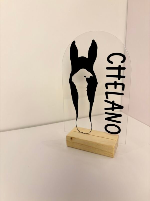 Personalisiertes Pferdeportrait aus Acryl – Pferde Silhouette mit Name