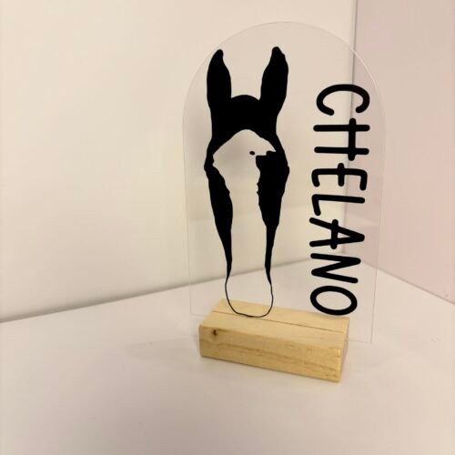 Personalisiertes Pferdeportrait aus Acryl – Pferde Silhouette mit Name