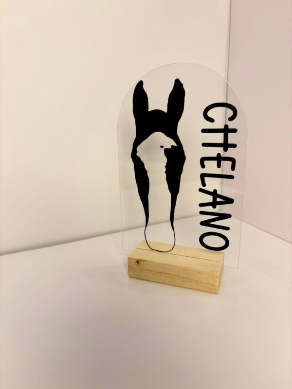 Personalisiertes Pferdeportrait aus Acryl – Pferde Silhouette mit Name