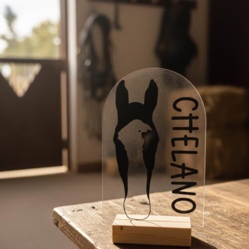 Personalisiertes Pferdeportrait aus Acryl – Pferde Silhouette mit Name