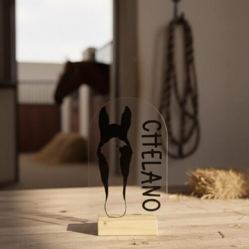 Personalisiertes Pferdeportrait aus Acryl – Pferde Silhouette mit Name