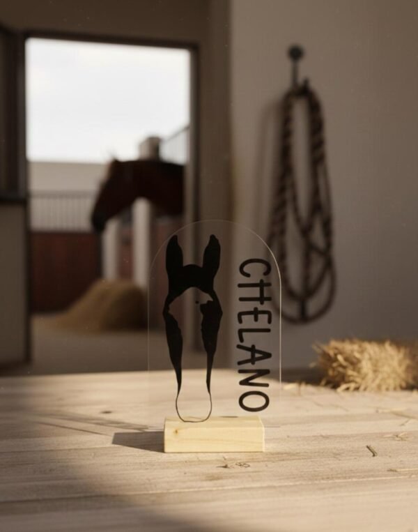 Personalisiertes Pferdeportrait aus Acryl – Pferde Silhouette mit Name